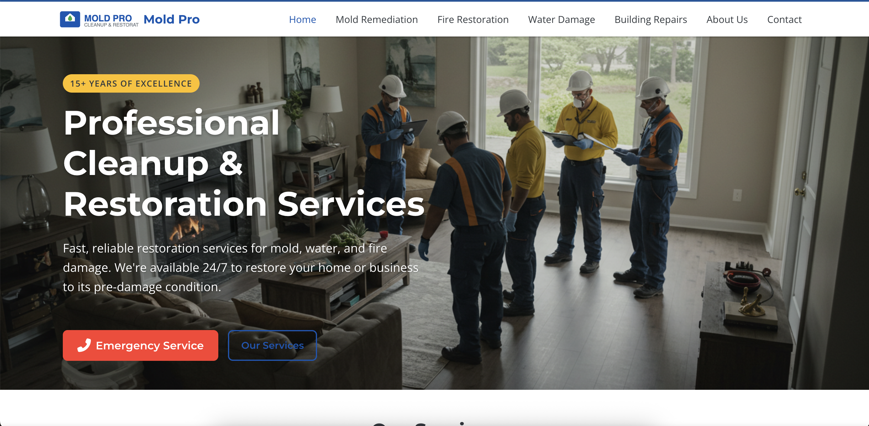 Mold Pro Plumbing Website